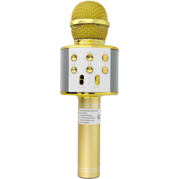 Multimedia karaoke microphone CR58S HQ gold